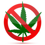 No Marijuana