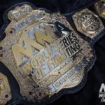 World Series of Fighting MMA belt