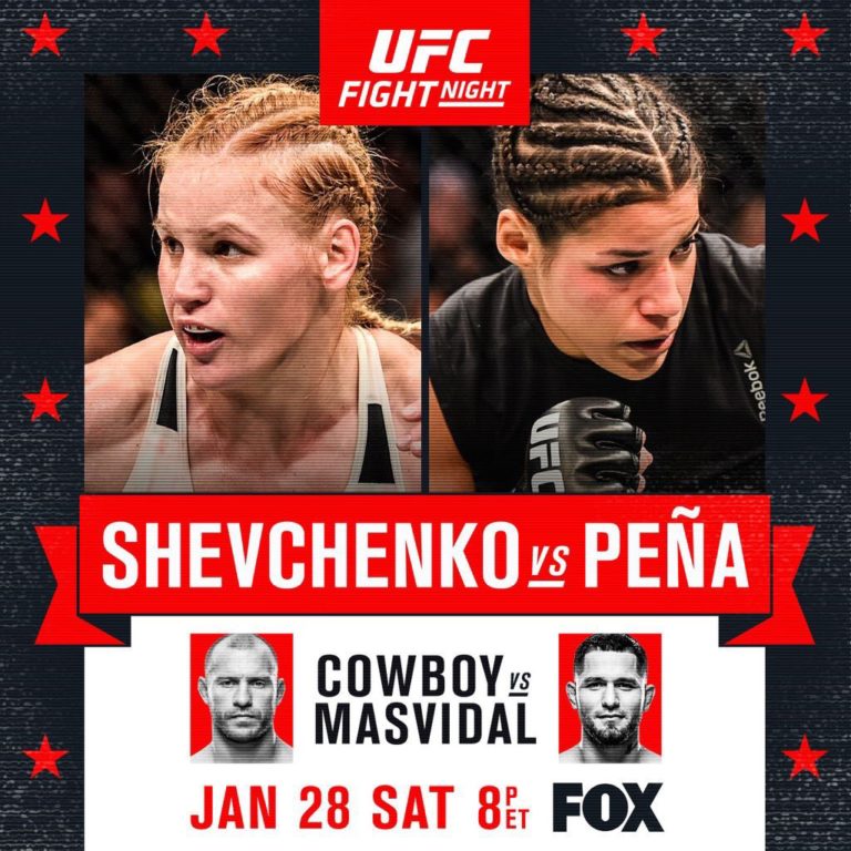 UFC on Fox: Shevchenko vs Pena preview