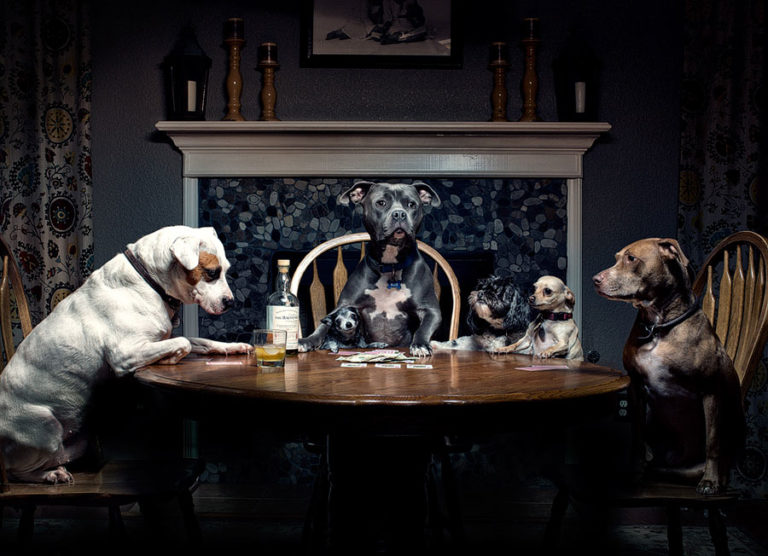 dogs playing poker