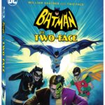 Batman vs Two Face 3D