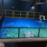 Behind The Scenes tank Manila Ocean Park