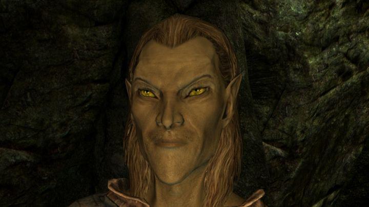 Elves of Skyrim