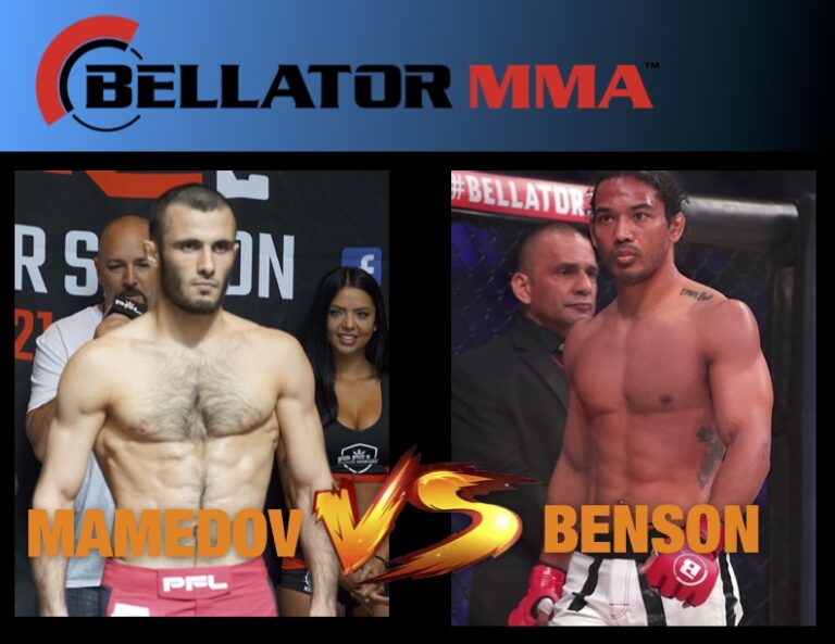 Fights added to Bellator 273